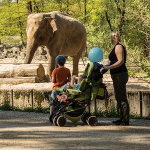 družinski izlet 675A6212