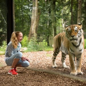 sodobne ograde a_75A3458