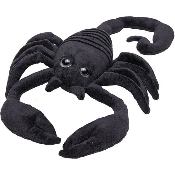 Škorpijon Bongoland.jpg