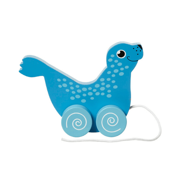 Žival na kolesih tjulenj