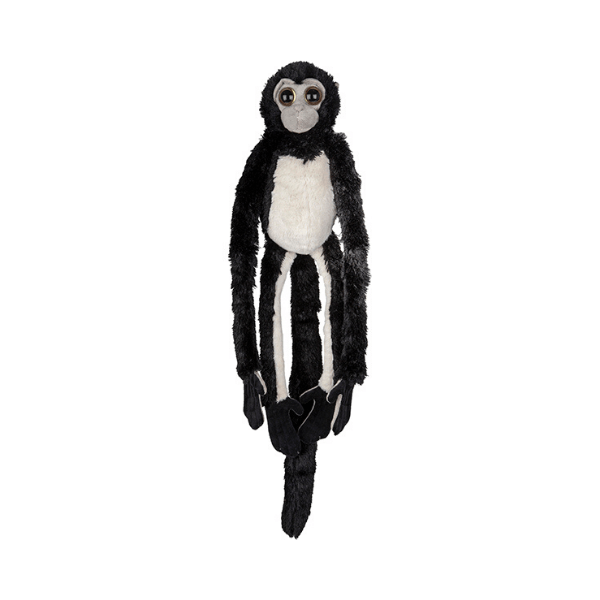 Viseča opica brezpalčarka