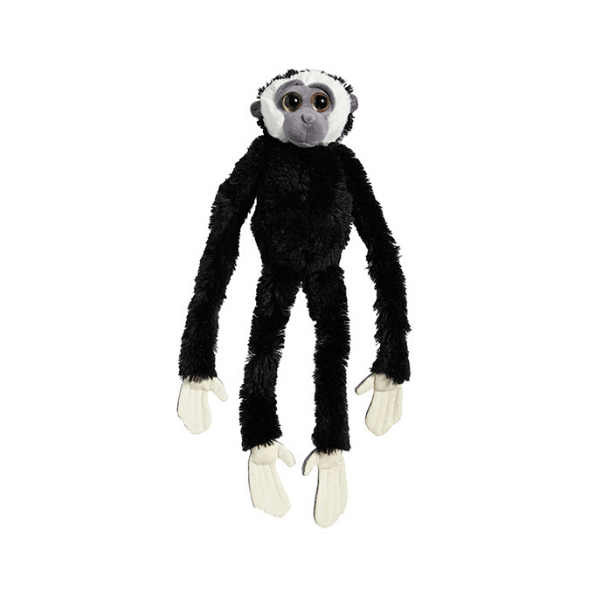 Viseča opica gibon črn