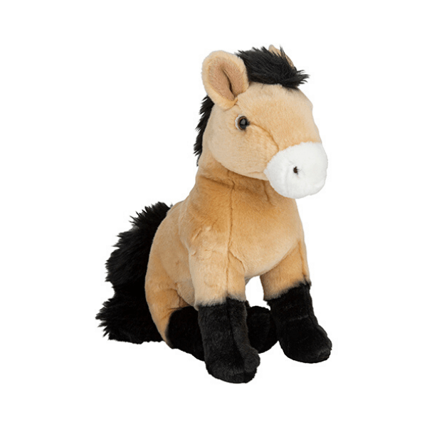 Konj Przewalski Plan L