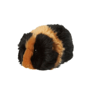 Morski prašiček rjav-črn Little Ones