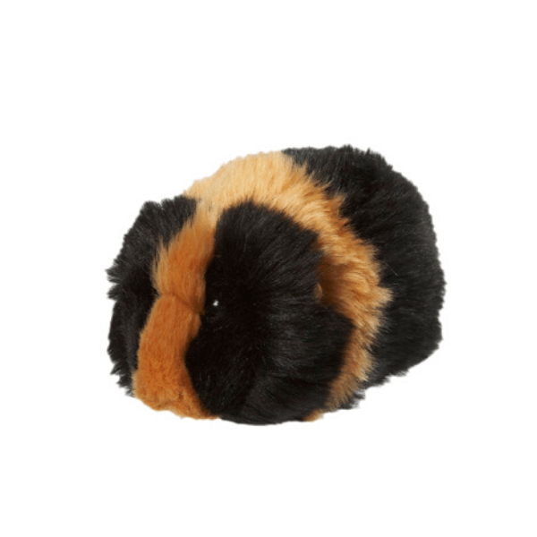 Morski prašiček rjav-črn Little Ones