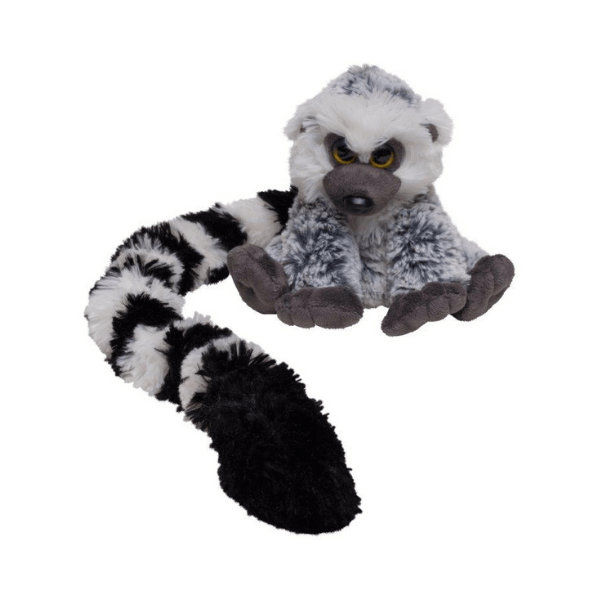 Opica z dolgim repom obročkastorepi lemur