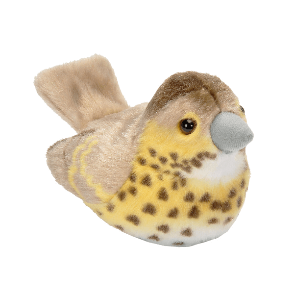 Ptič z zvokom cikovt