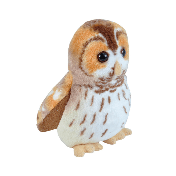 Ptič z zvokom lesna sova