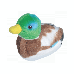 Ptič z zvokom raca mlakarica