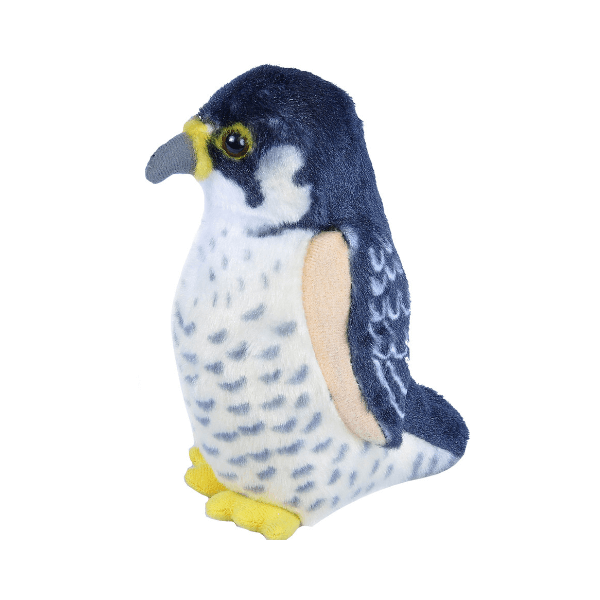 Ptič z zvokom sokol selec