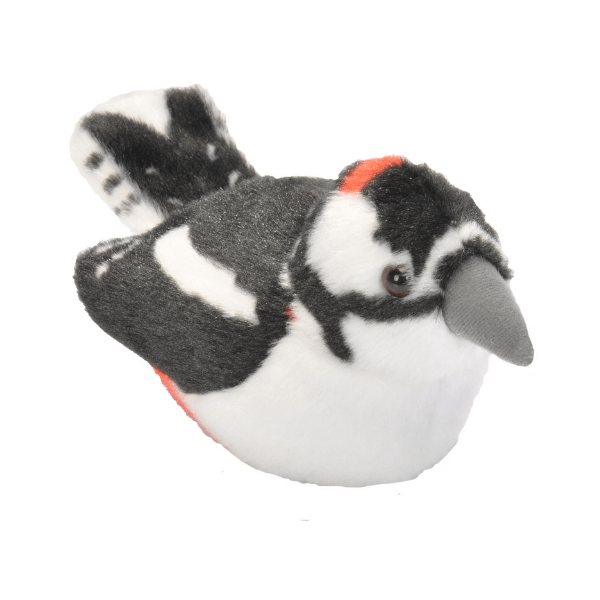 Ptič z zvokom veliki detel