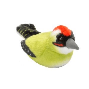 Ptič z zvokom zelena žolna