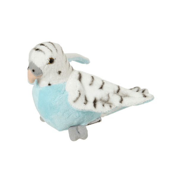 Skobčevka modra Little Ones