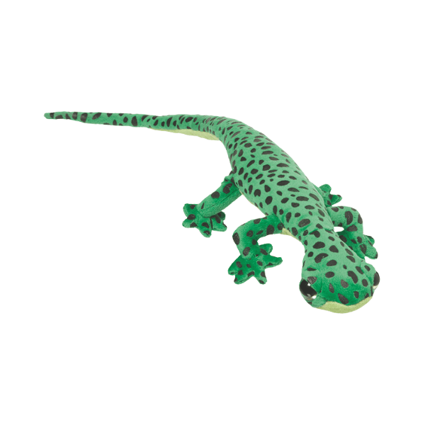 Gekon S Mediterranean House