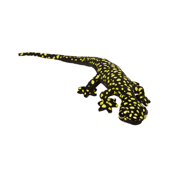 Gekon S Oscillated Velvet