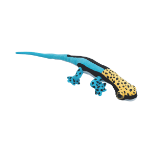 Gekon S Yellow Headed