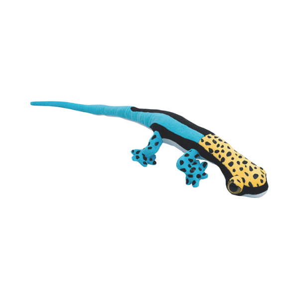 Gekon S Yellow Headed