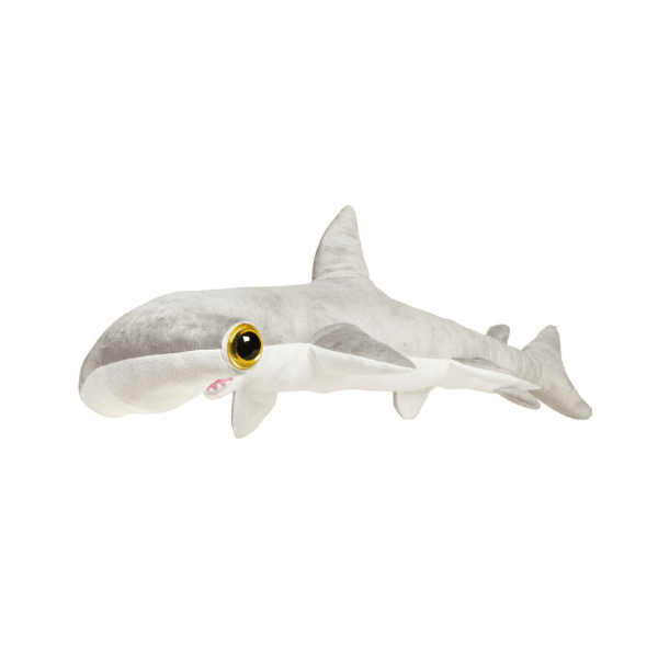 Morski pes L kladvenica