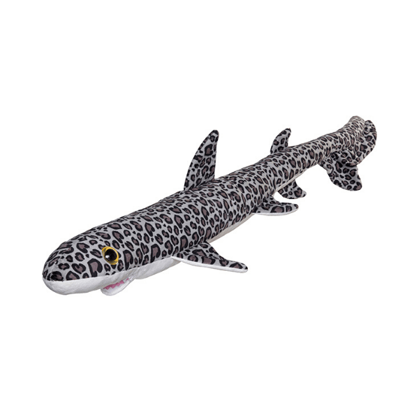 Morski pes L leopardji