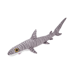 Morski pes L tigrasti