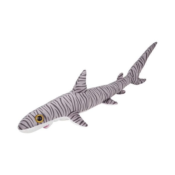 Morski pes L tigrasti