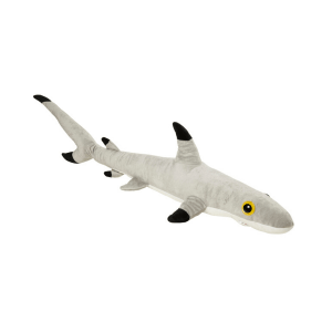 Morski pes L črnoplavuti