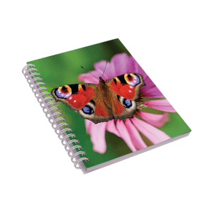 Zvezek s 3D sliko metulj