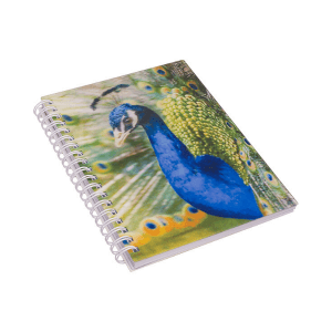 Zvezek s 3D sliko pav