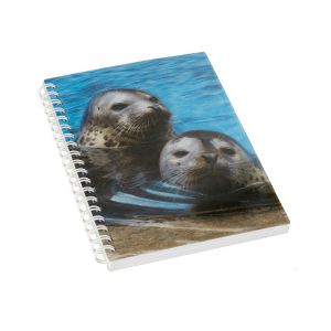 Zvezek s 3D sliko tjulenj