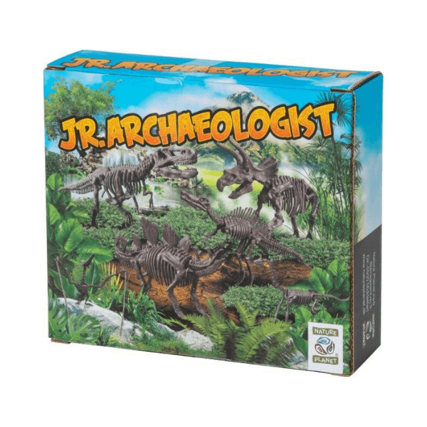 Set za izkopavanje fosilov