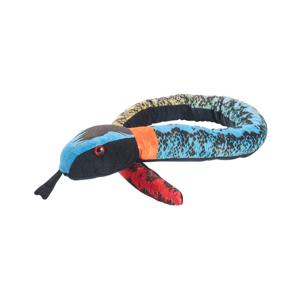 Kača Ringneck Arizona Snake 137 cm