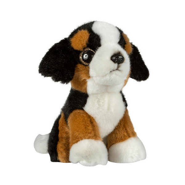 Glitter očki bernski planšarski pes