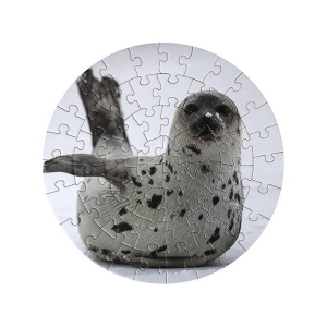 Sestavljanka tjulenj